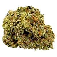 Viola - 1st Quarter (Sativa)