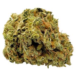 Viola - 1st Quarter (Sativa)