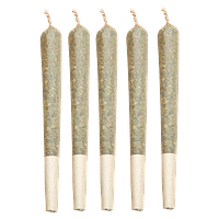 Astrolab - Summer Cherry Punch Live Rosin Infused Pre-Roll