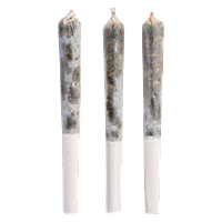Tenzo - Triple Iced Vanilla Infused Pre-Roll