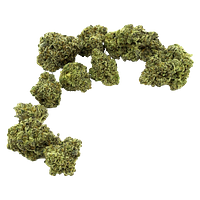 Community c/o Purple Hills - Archives