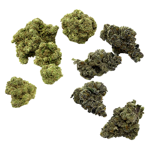 Purple Hills Presents - VCC