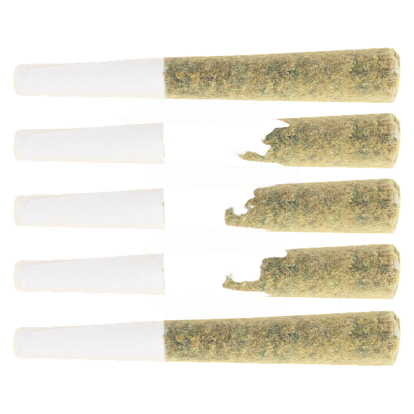 Original Dankster - Shot Caller Pre-roll