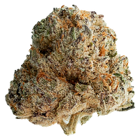 Original Dankster - Shot Caller