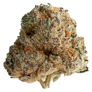 Original Dankster - Shot Caller