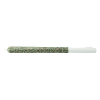 Mill Rite - The Jeffrey Pre-Roll