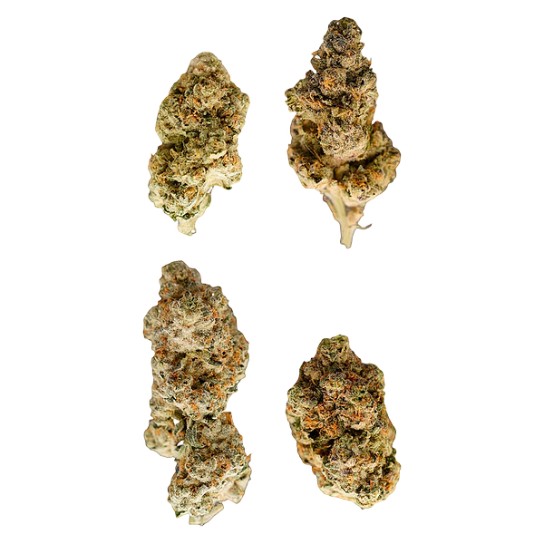 Terp Nerdz - Bag of Nerdz