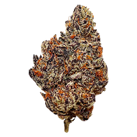 Dope Boys - Duffle Bags