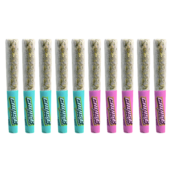 BOXHOT Cruise Control - Spark Plugs: Tropic Trip + Miami Monster Infused Pre-Roll