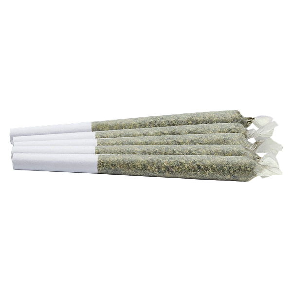 Kingsway - Dayshift High Pre Roll