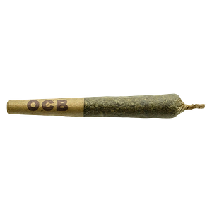 Coterie - Purple Zushi Pre Roll