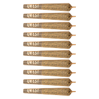 Qwest 35's - P.S. Cheetah Pre-roll