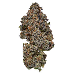 Coterie - Frosted Fruit Cake