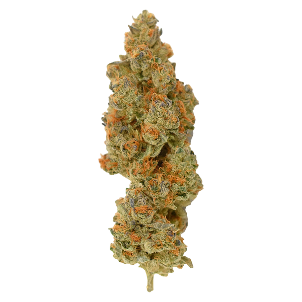 Rocket Factory - Facetz