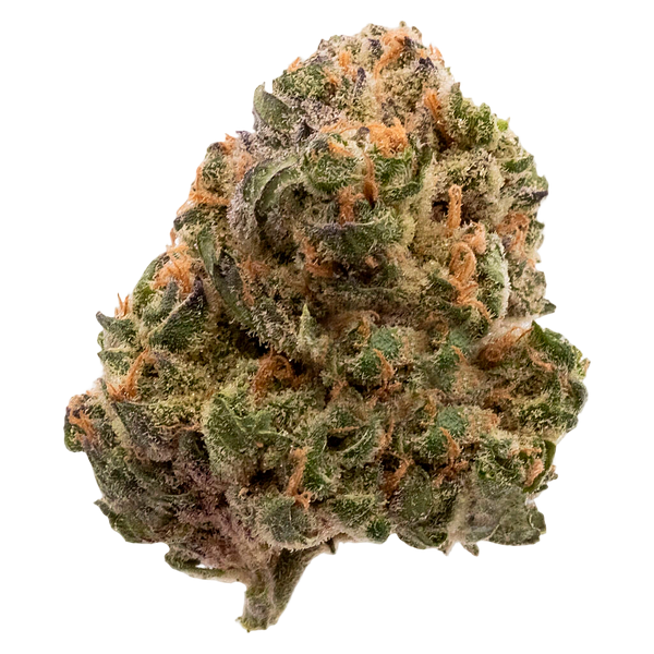 FIGR - Garlic Truffle