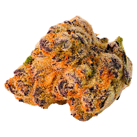 Highland Special - Paulander Purple Smalls