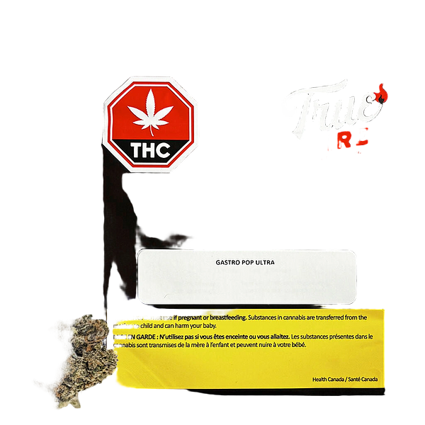 True Fire - Gastro Pop Ultra