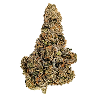 True Fire - Gastro Pop Ultra