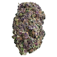 FatCat - Purple Honey - True Premium Purple Buds