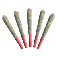 Gladstone - Frosted Cranberry Terpene Enhanced Pre-roll