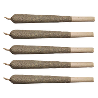 Can We - Peace Pack - Indica Pre-roll