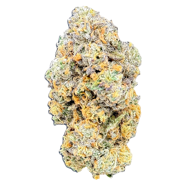 Canal St. - Confidential Green