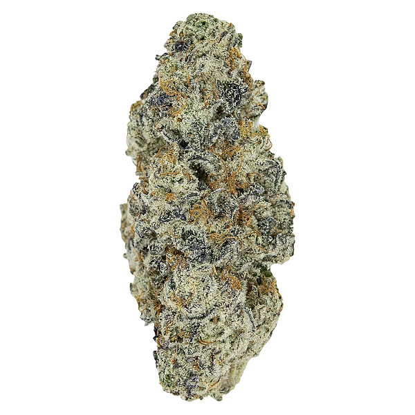 Pistol and Paris - Perma Fried