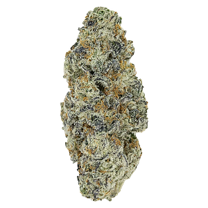 Pistol and Paris - Perma Fried