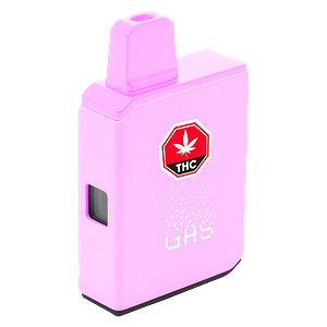 (GAS) - Cherry Boba Live Action All In One Box