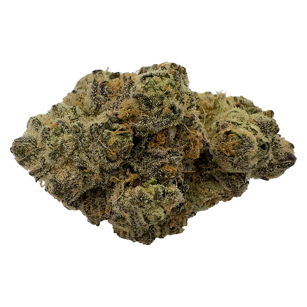 The Florist - Rare Cuts