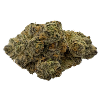 The Florist - Rare Cuts