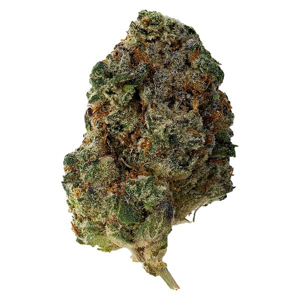 The Loud Plug - Waffle Cone