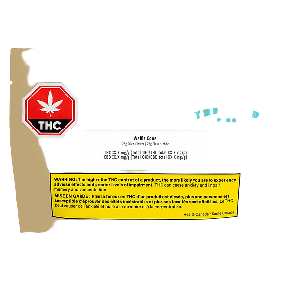 The Loud Plug - Waffle Cone