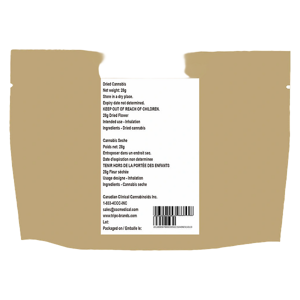 The Loud Plug - Waffle Cone