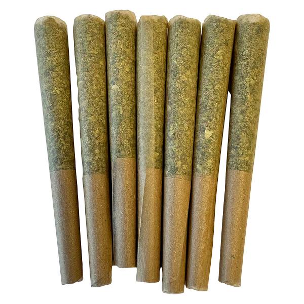 Noodz - Profile - Tropical Pre-roll