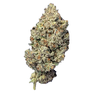 Papa's Herb - Super Lemon Haze