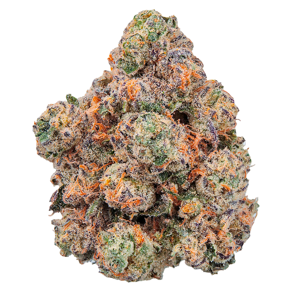 FOUR54 - Lobster Royale