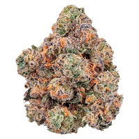 FOUR54 - Lobster Royale