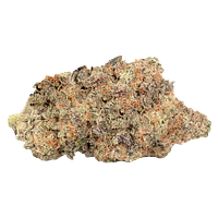 MELT - Midlife Crisis