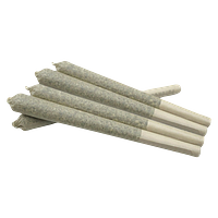 Plush - Hawaiian Haze Premium Joints
