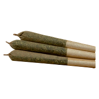 MILLY - Gramz Pre Roll