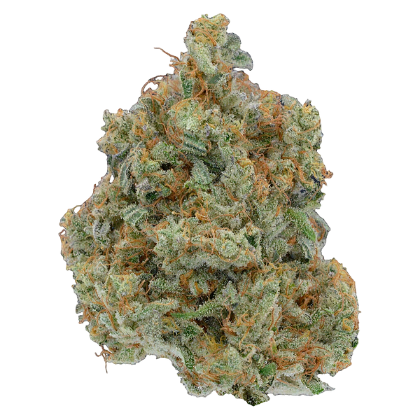 Be Humble. - Omakase