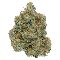 Be Humble. - Omakase