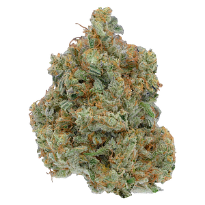 Be Humble. - Omakase