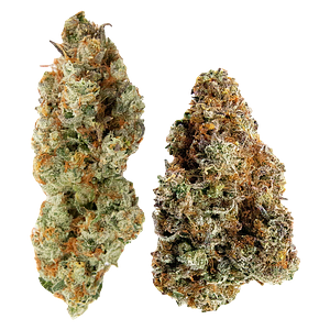 Northern Canna X Ministry Of Sativa - Yin Yang