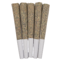 West Coast Gas - Exotics Pre Roll
