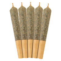 WINK - Rainbow Pie Pre Roll