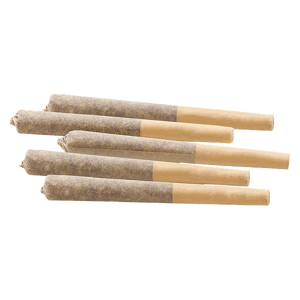 Woody Nelson - 33 Splitter Craft Pre Roll