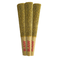 Orchid CBD - Cbd Grape Rntz Infused Pre Roll