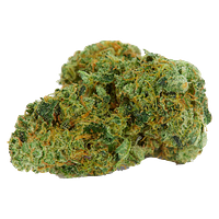 Stoned - Super Stoner Selection